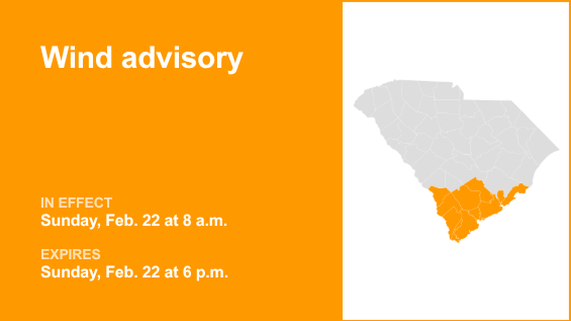 Wind advisory affecting Lowcountry until Sunday evening 