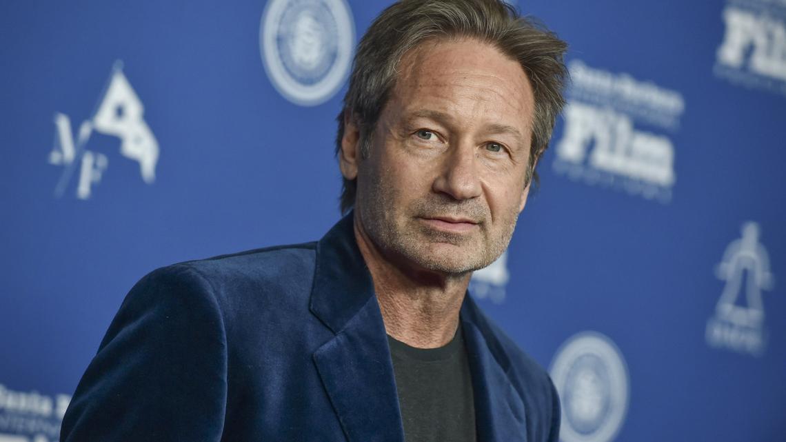 David Duchovny Is Unrecognizable After Transformation for Next Role 