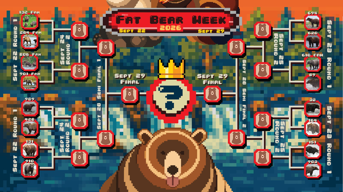 Fat Bear Week is back: Meet this year's contenders
