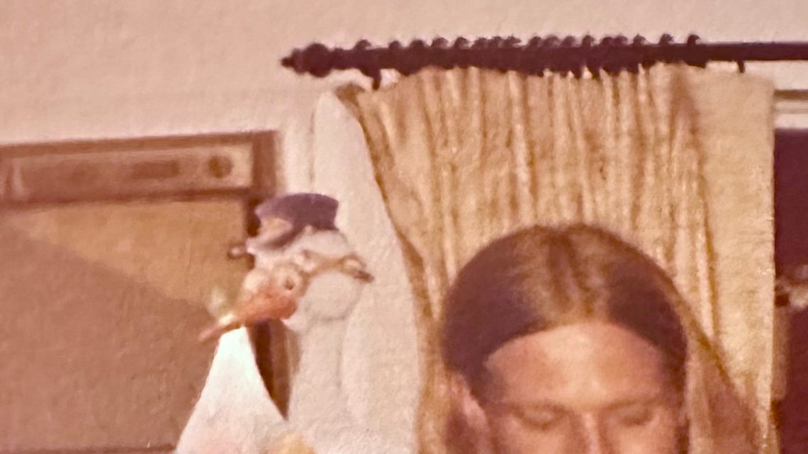 Bucks County man who lost family to 70s mass murder dies | Exclusive 