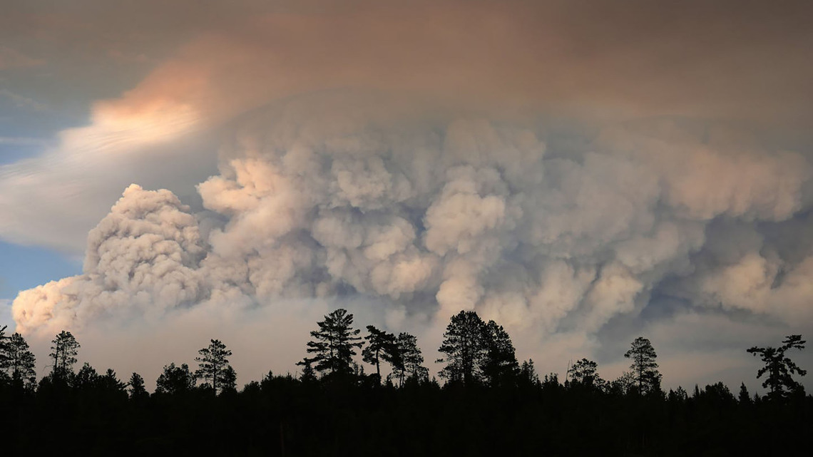 Dennis Anderson: Minnesota's boreal forest won't survive a hotter, more fiery future 