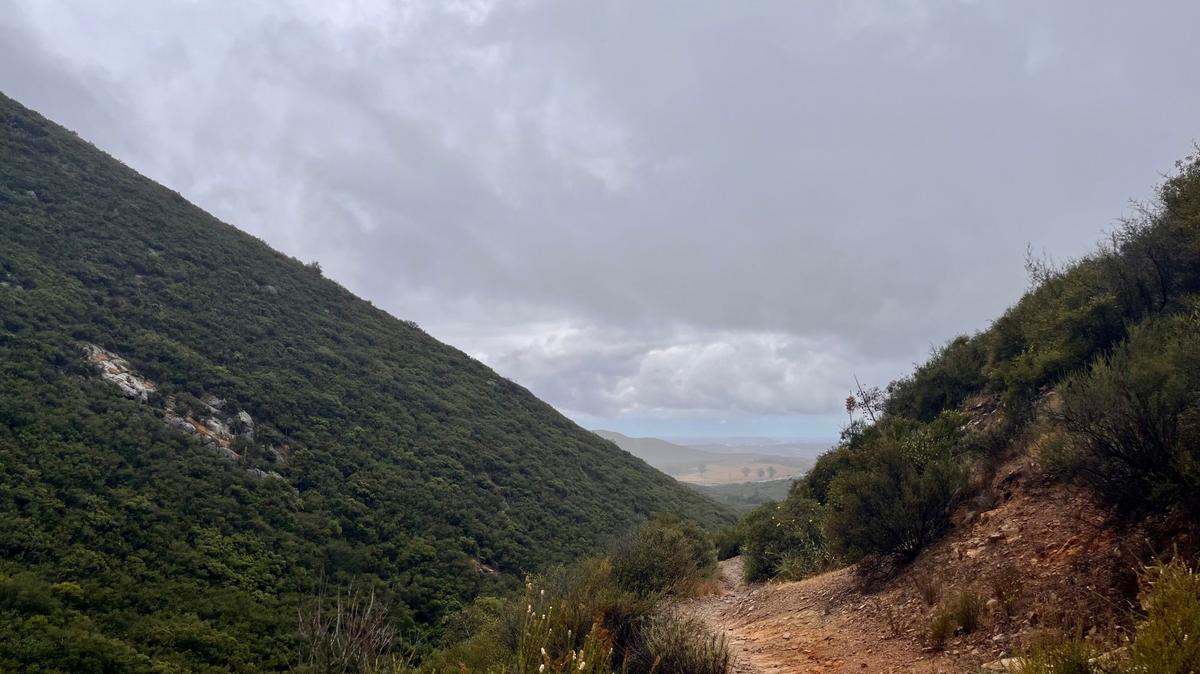 The Equestrian Bypass Trail offers views of the rolling hills to the south as hikers travel between green mountains near Poway, California. (Maura Fox/The San Diego Union-Tribune/TNS)
