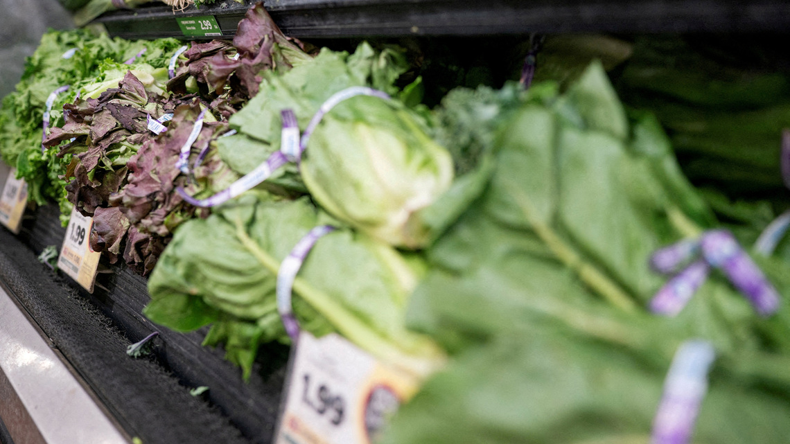 Taylor Farms outbreaks show limits of US ability to safeguard produce from Mexico 