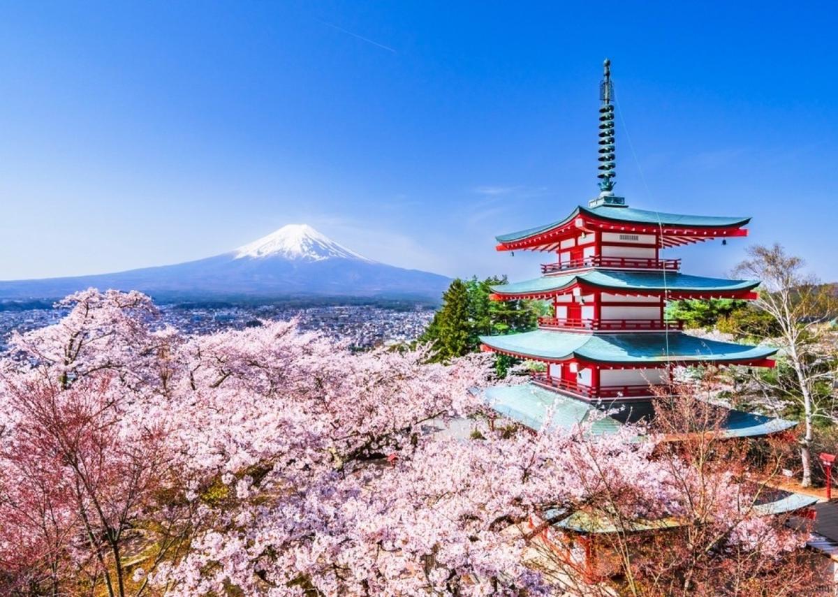  naokita // Shutterstock 
