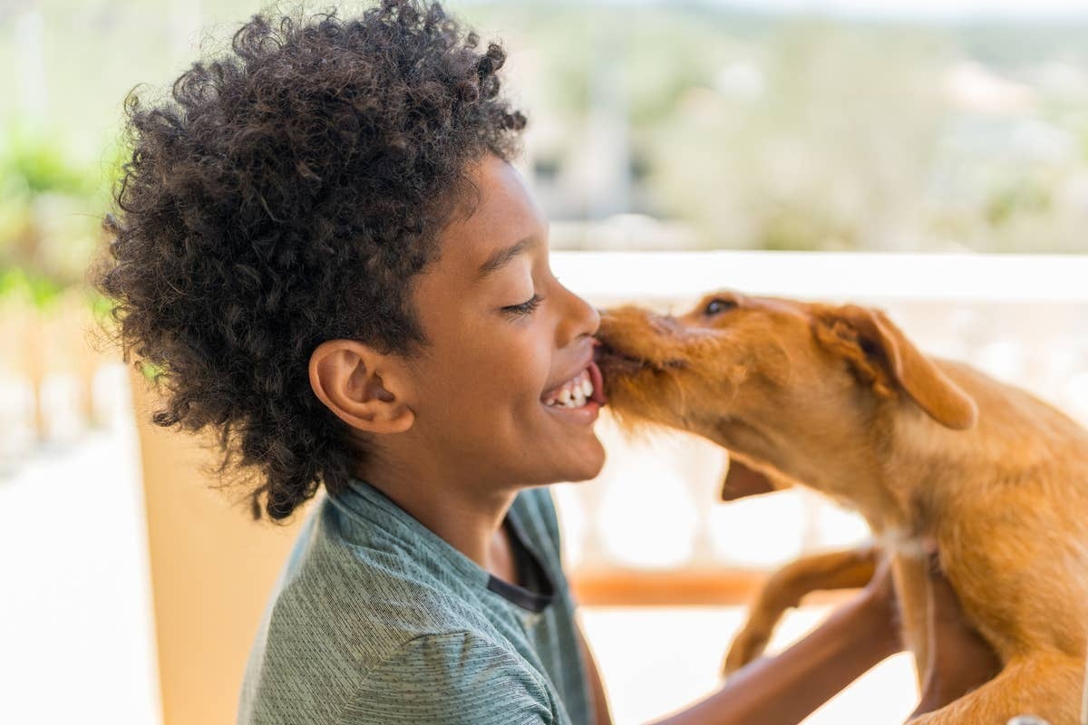  A dog being affectionate when its pet parent apologized.
