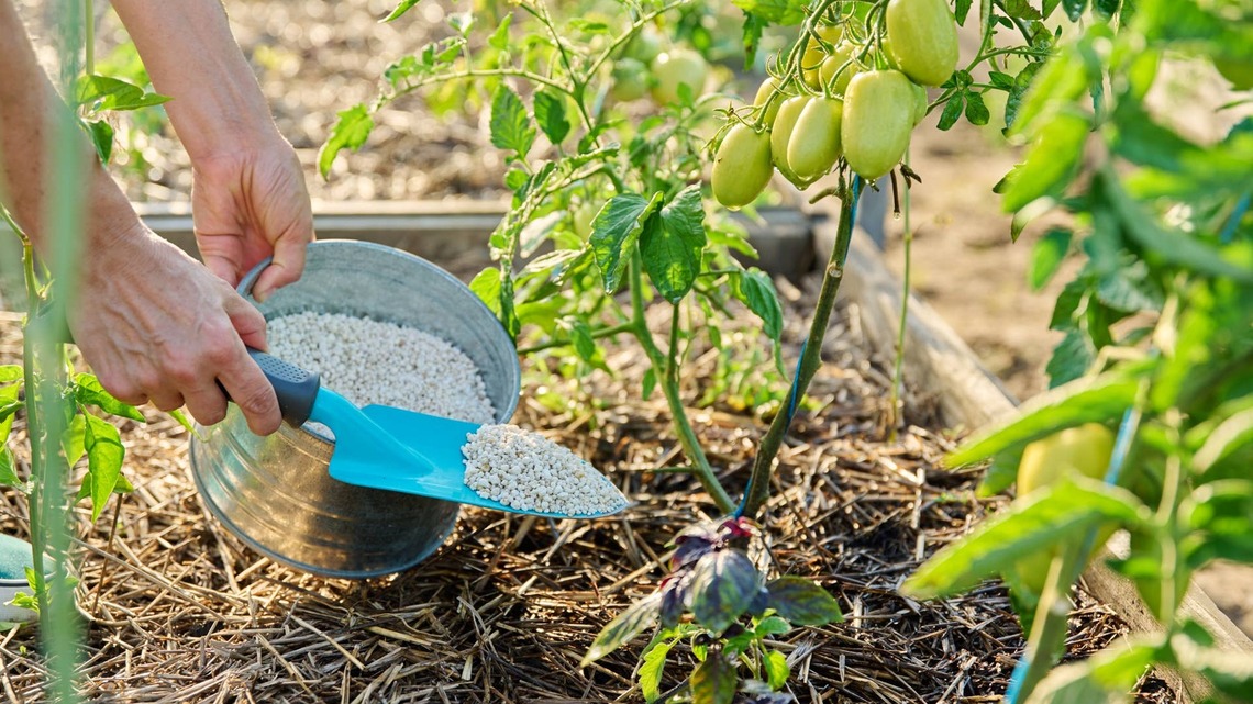 Should You Fertilize Your Garden in Fall? Here's What Actually Needs Feeding