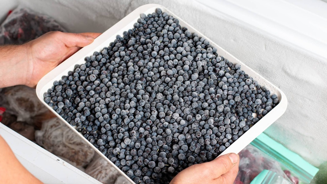 Publix frozen blueberries recalled in 8 states after E. coli sicknesses 