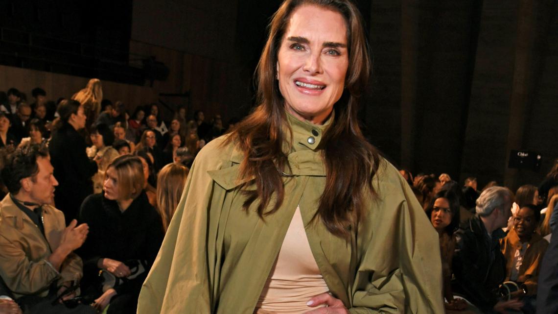 Brooke Shields' New Murder Mystery TV Series Gets a Premiere Date 