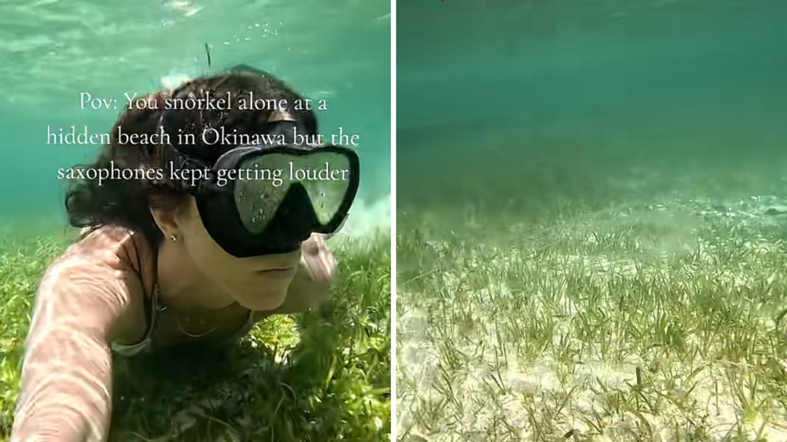 Woman Swims Alone in ‘Calm' Seas-Then Realizes What's in the Water With Her 
