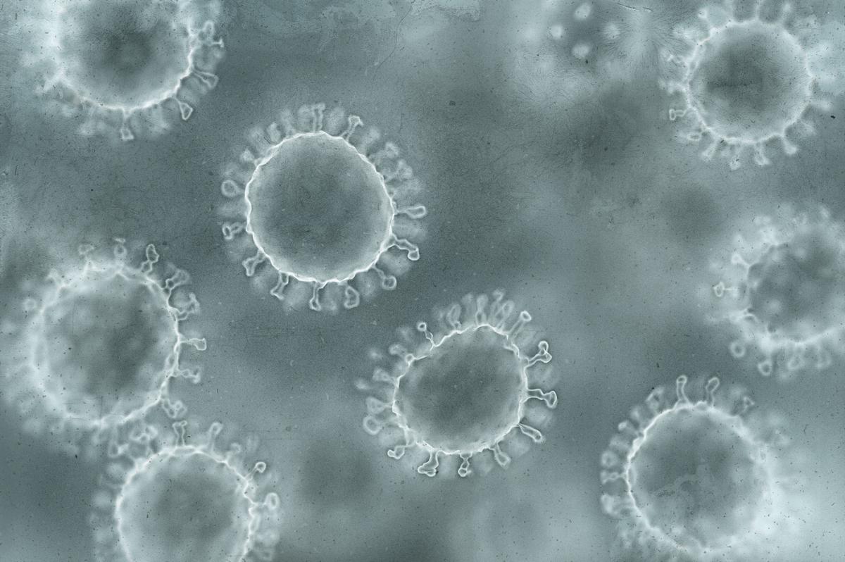 Stomach flu cases spike in Tri-Cities schools and care homes.