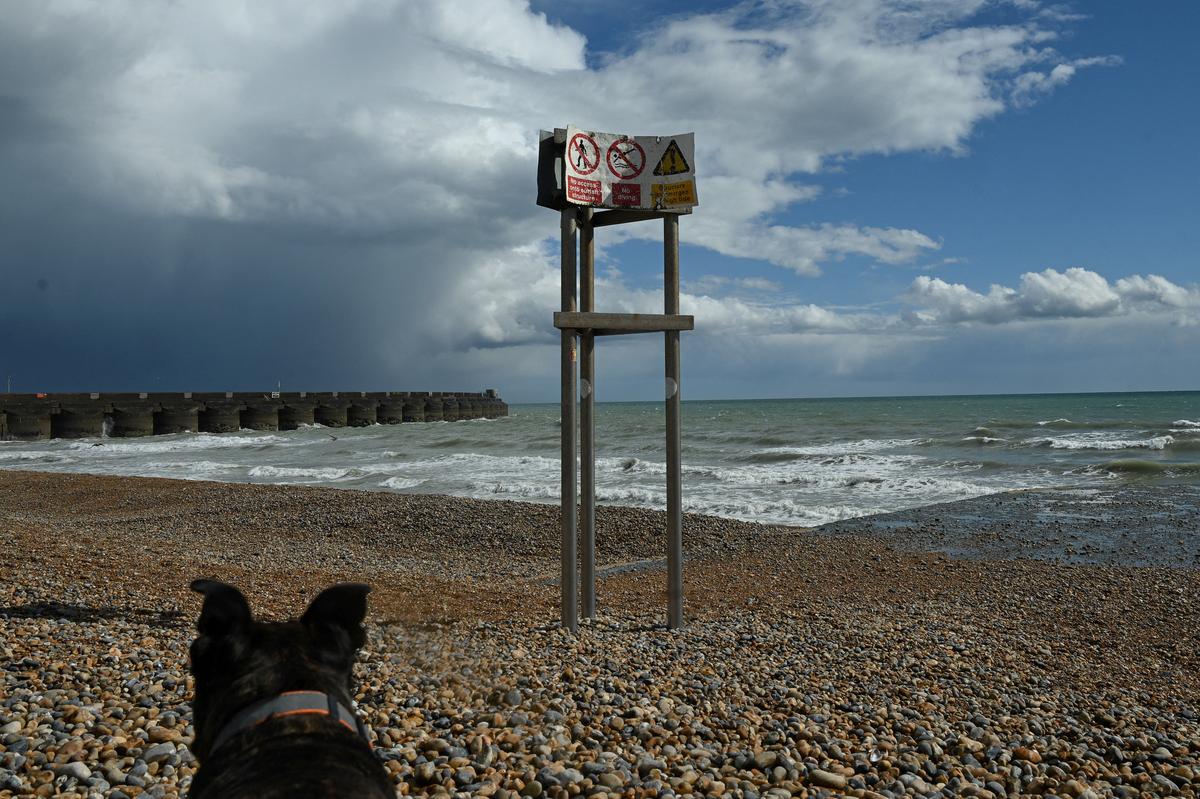 A dog sits on a beach close to a sign, near the site where the bodies of three women were recovered from the sea early this morning, in Brighton, East Sussex, Britain, May 13, 2026. REUTERS/Jaimi Joy