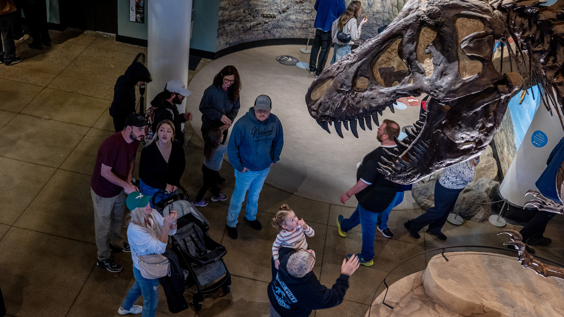 A final day at the Academy of Natural Sciences brought tears, nostalgia, and disbelief 