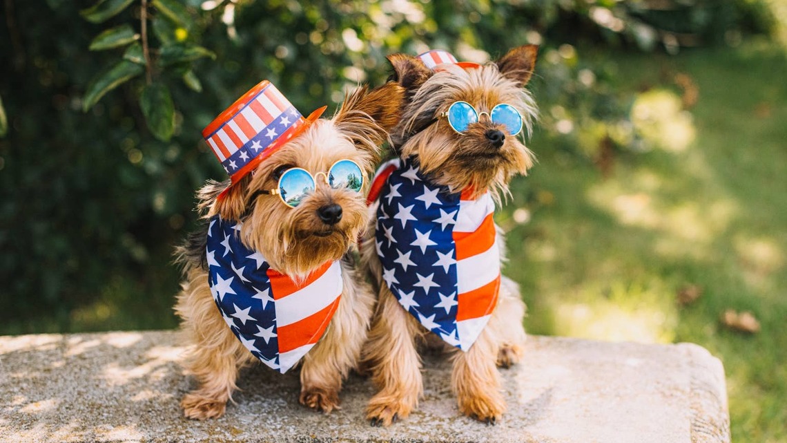 Chief Veterinarian Shares Pet Safety Tips Ahead Of America's Biggest Fourth Of July Yet 