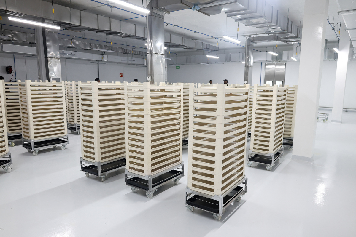 A view of the larval growth area during a media tour following the opening of a sterile fly production plant, a key step to contain the cross-border spread of the New World screwworm and its impact on cattle trade, in Metapa de Dominguez, Chiapas, Mexico, June 27, 2026. REUTERS/Damian Sanchez