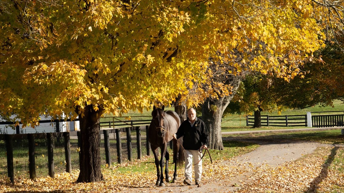 Mindframe Tops Claiborne Farm's 2027 Roster At $40,000
