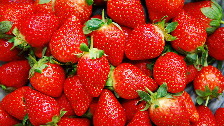If you’re a fan of strawberries (and who isn’t?) check what’s happening at Cal Poly | Opinion