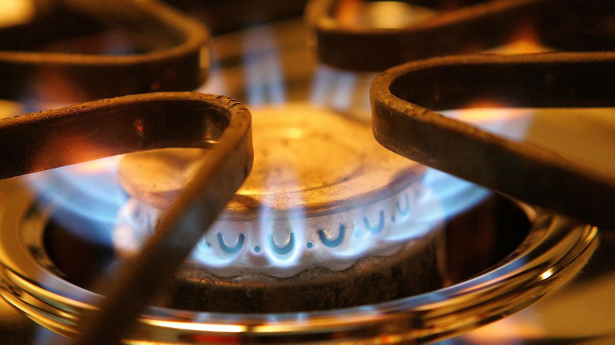 A burner on a stove emits blue flames from natural gas.