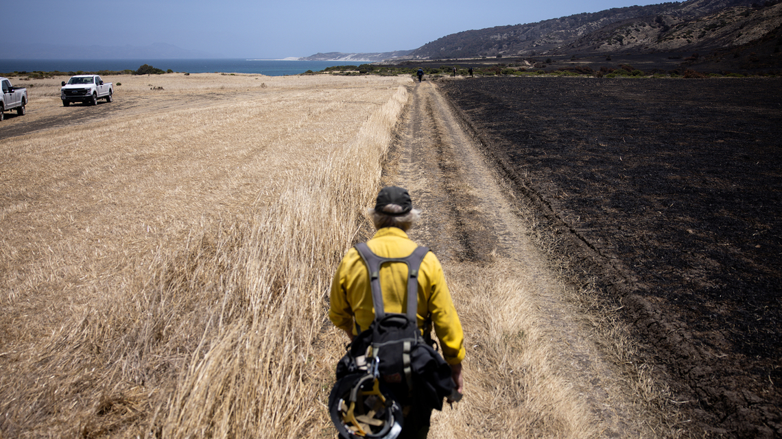 Wildfire almost destroyed a pristine California island. Inside the fight to save this ecological oasis 