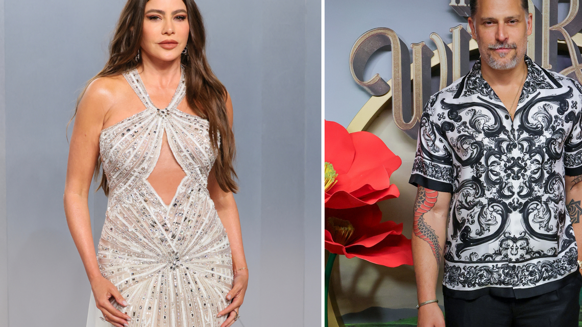 Sofia Vergara Slams 'Narcissistic Men' After Joe Manganiello's Memoir Claims 