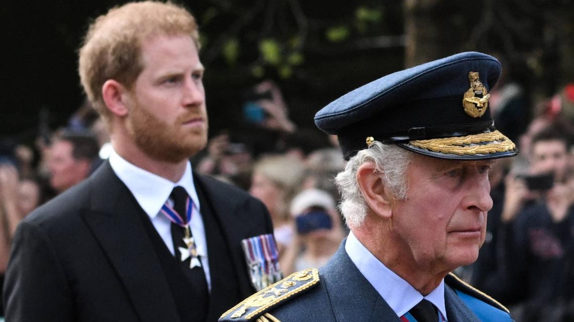 Prince Harry's Relationship With King Charles Faces New Blow, Poll Finds 