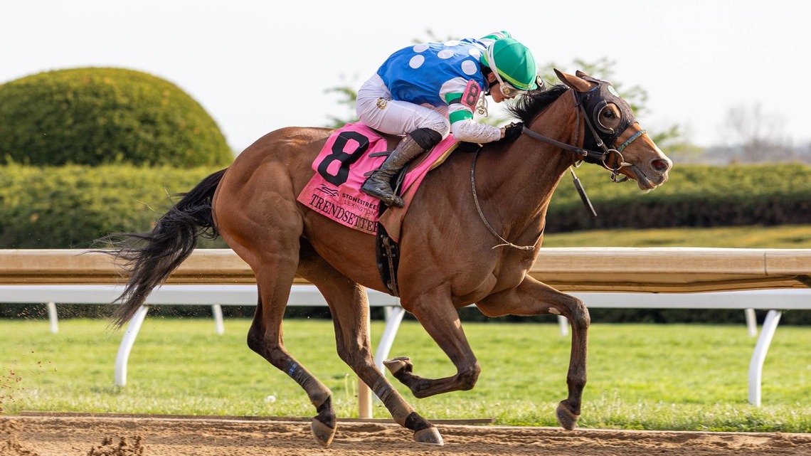 Graded Winners Trendsetter, Quarry Feature In Super Derby 