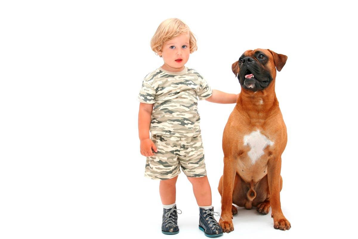  A family guard dog with young child.