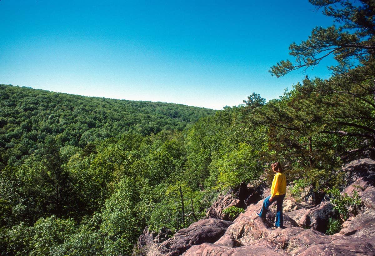  Venomous snakes like to roam in Saint Francois Mountains in Missouri.