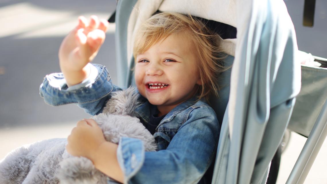 7 Top-Rated Strollers on Amazon, From Budget to Splurge 