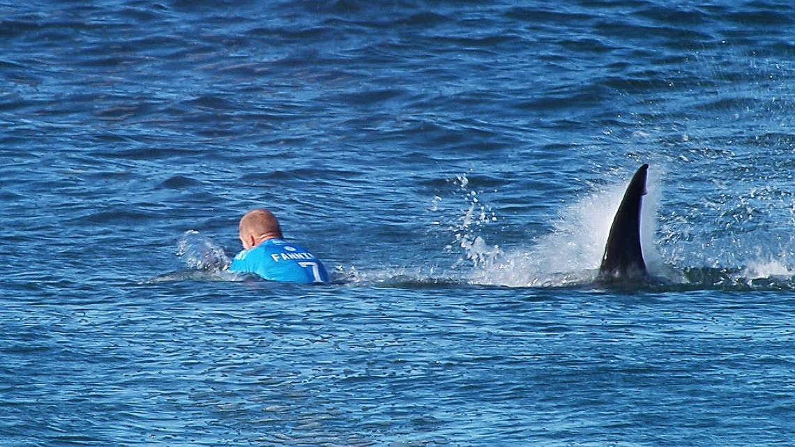 Mick Fanning Cheats Death, Survives Shark Attack and Unthinkable Family Tragedy (Video) 