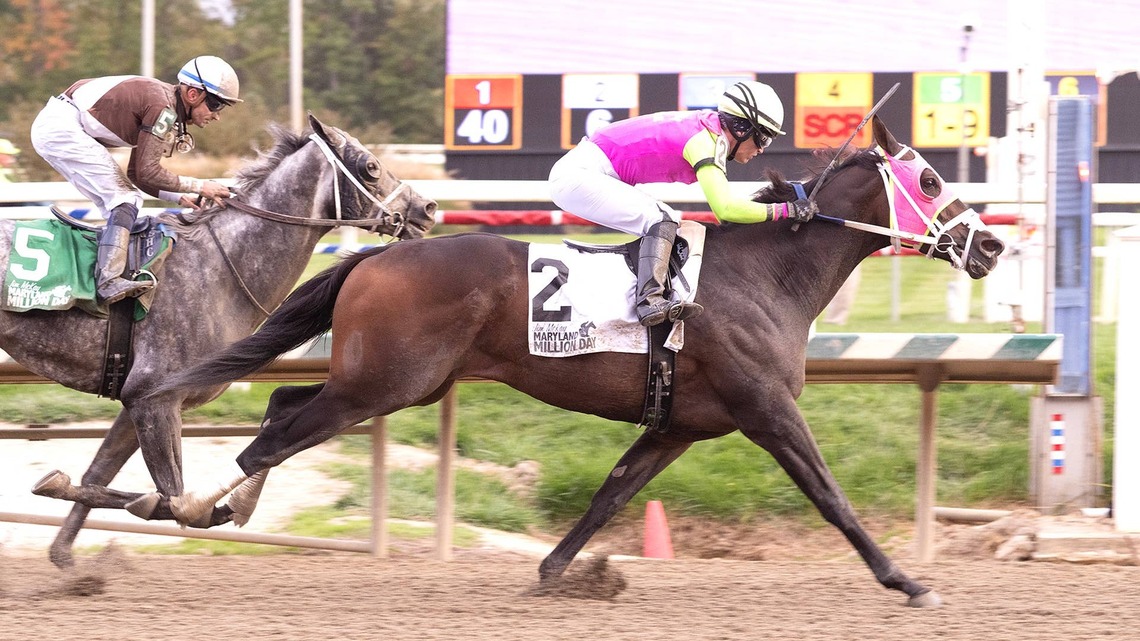 Barbadian Runner, Bendoog Face Off In Battery Park Stakes 