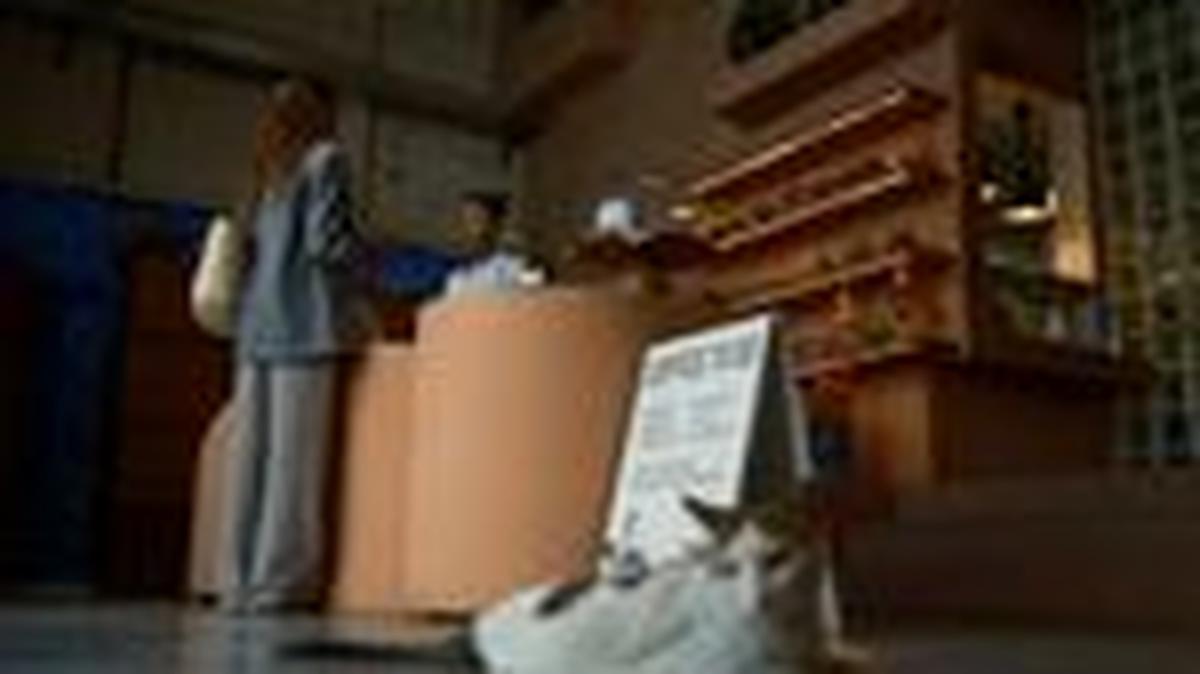 A cat sits while a cashier tends to a customer at Lila Molino restaurant in Dubai, United Arab Emirates, April 28, 2026. REUTERS